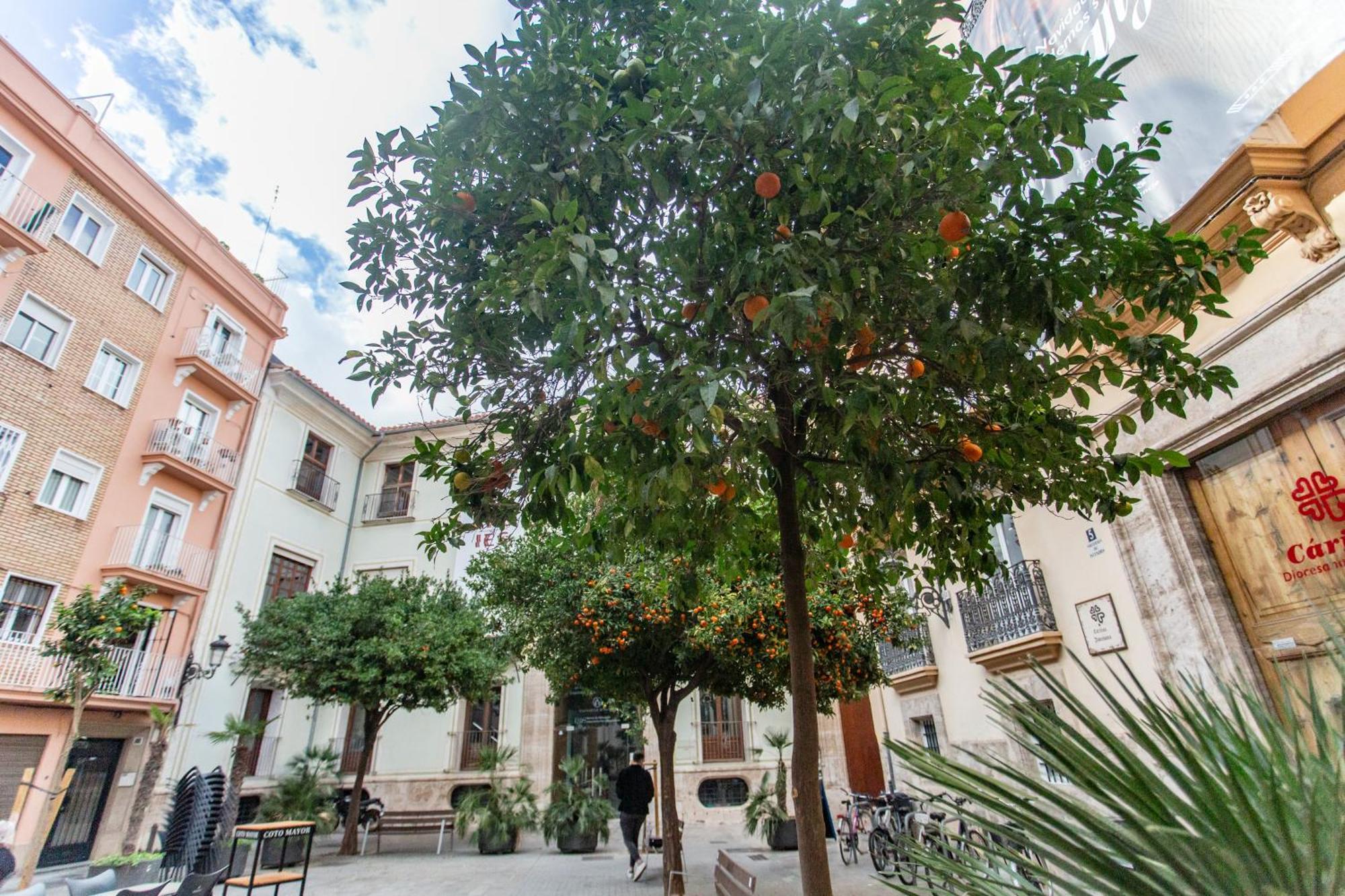 Vlc - Tranquilo Apartamento En Plaza Cisneros Valência Exterior foto